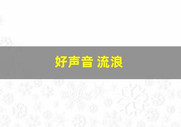 好声音 流浪